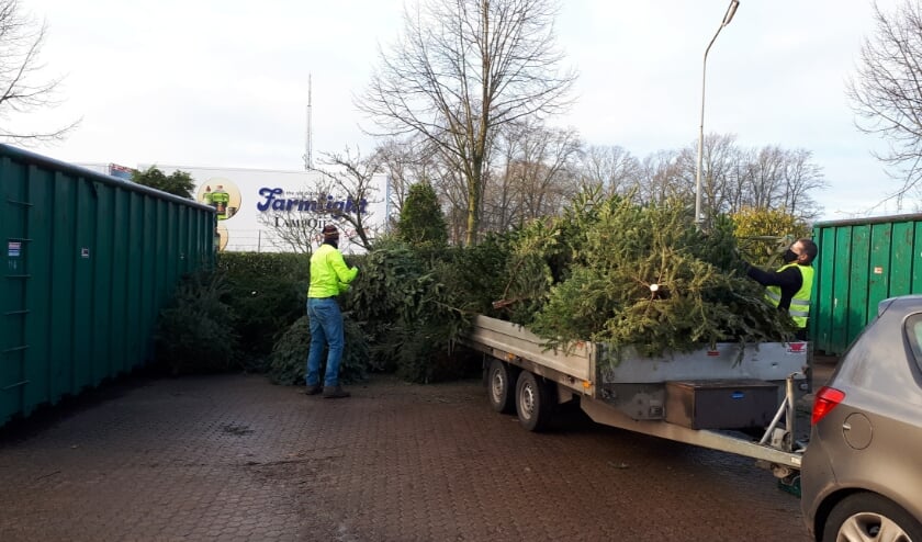 <p>De lossers van de kerstbomen in actie. Foto: Gerben Duenk</p>