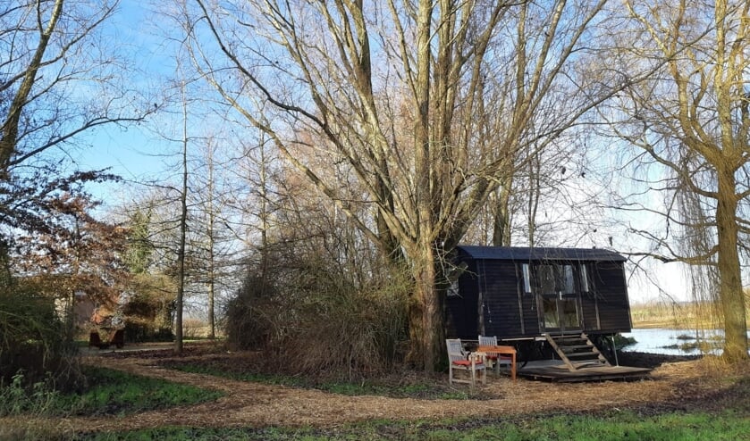 Tiny House on wheel Into The Dream staat naast een grote treurwilg met een prachtig uitzicht over het omliggende natuurgebied. Foto: Carolien Beijer