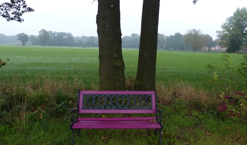 Vanaf een bankje. Foto: Bernhard Harfsterkamp