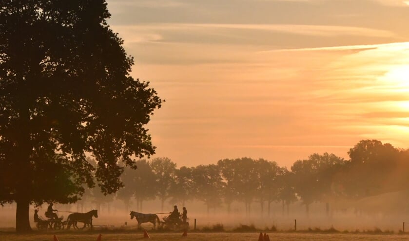 <p>Aanspanning in de ochtendmist. Foto: Theo Janssen</p>