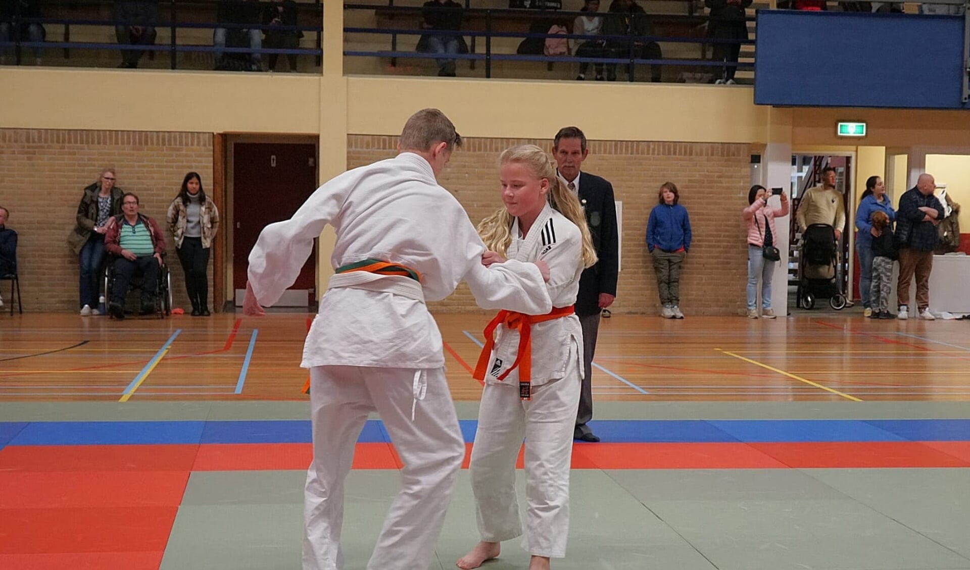 Succes voor Needse judoka's in Haaksbergen. Foto: PR