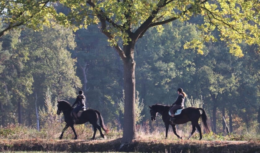 <p>Herfstrit voor ruiters en koetsiers. Foto: Jelske van Eerden</p>
