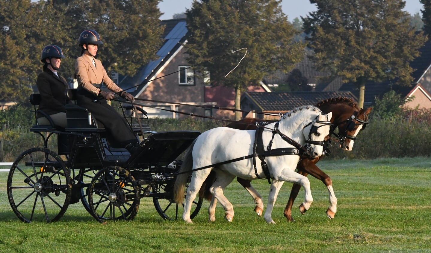 Pony's Sam Couwenberg uit Veulen. Foto: Theo Janssen