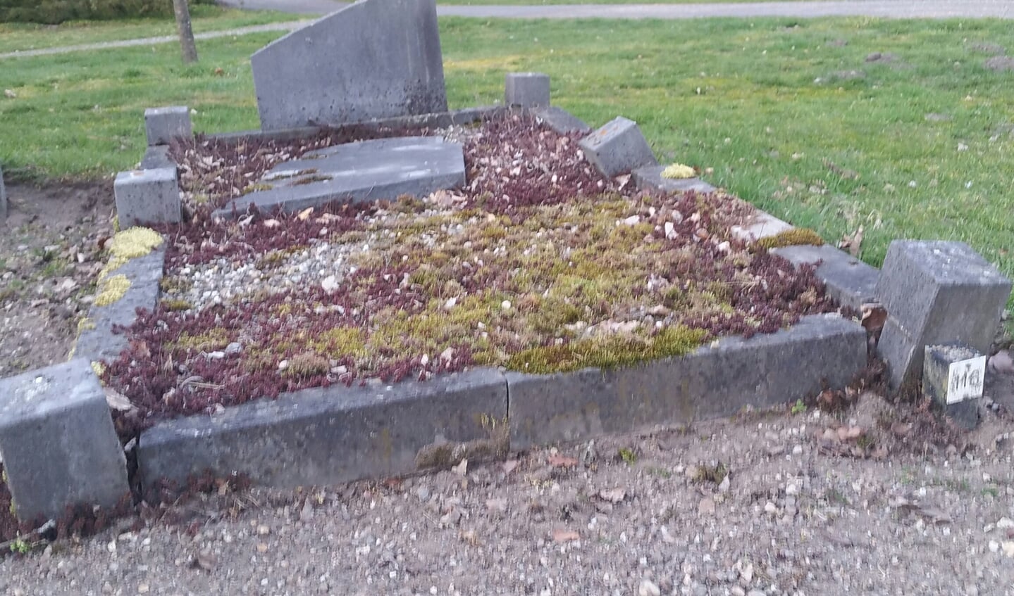 Een overwoekerd graf op Berkenhove. Foto: Karin Stronks