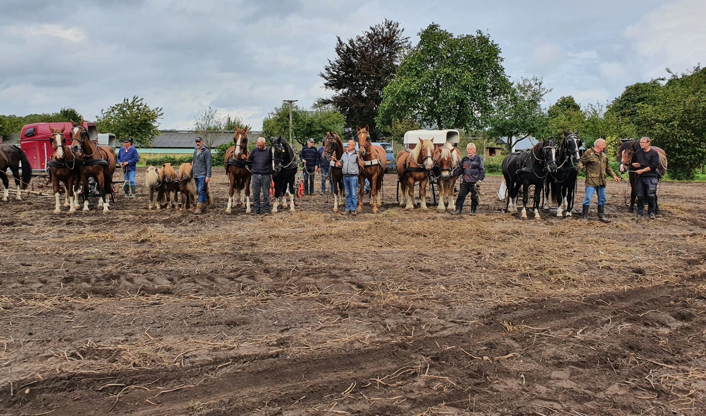 Alle deelnemers klaar voor de wedstrijd ploegen met paarden. Foto: John Gerritsen