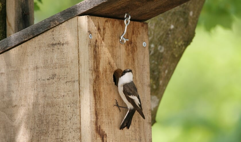 <p>Project voor mezenkasten. Foto: PR</p>