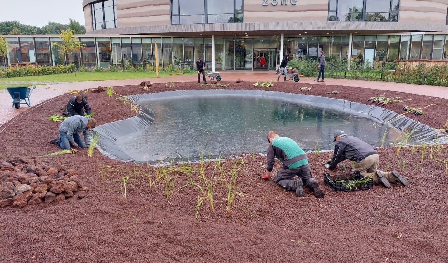 Mbo-studenten Zone.college leggen vijver aan in schooltuin. Foto: Jos Melgers (Zone.college)