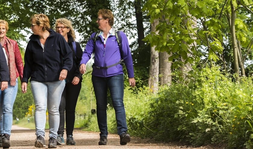 <p>Op zondag 31 oktober kunnen wandelaars genieten van de fraaie herfstkleuren tijdens de WF Herfstwandeltochten. Foto: 100%winterswijk</p>