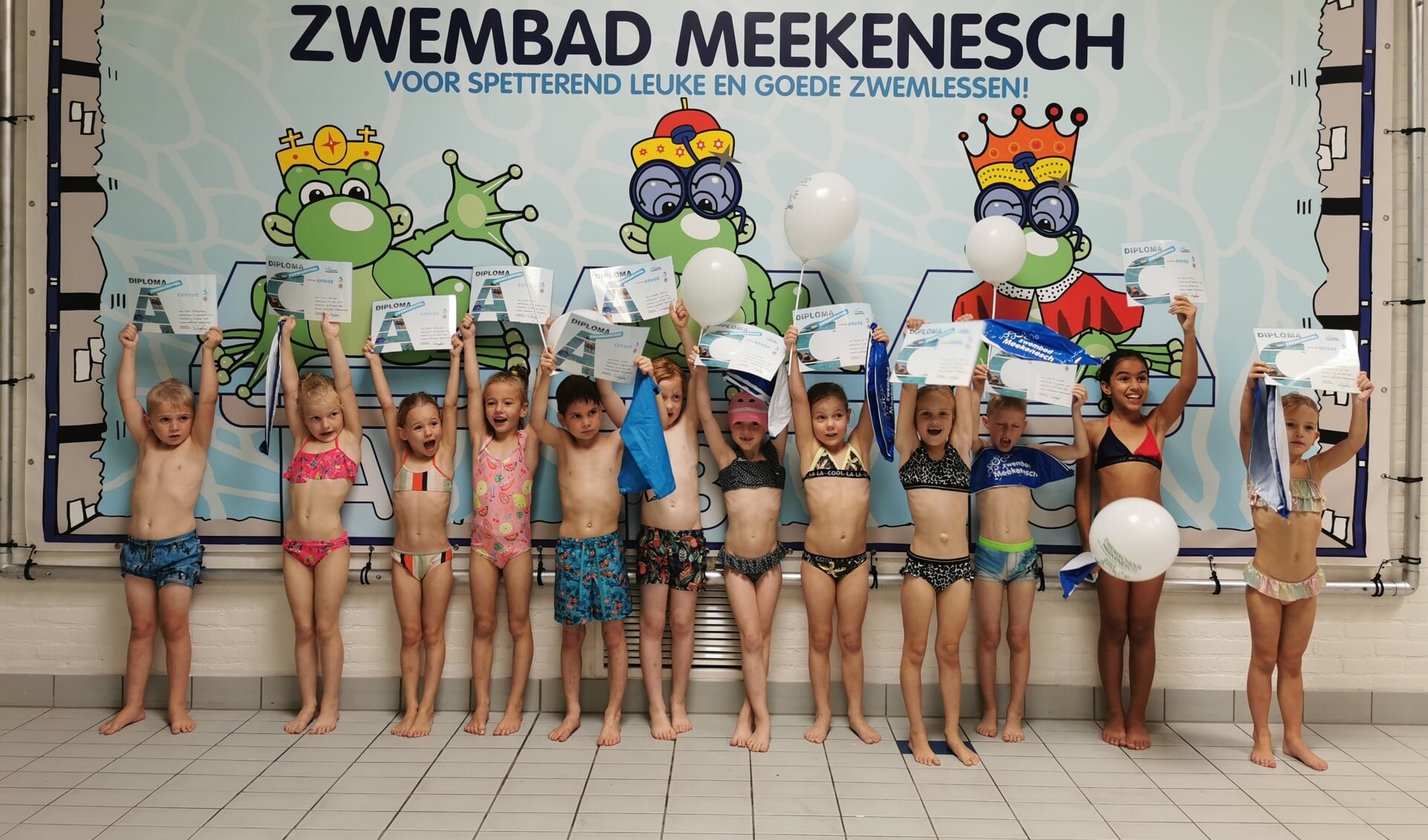 Foto: Zwembad Meekenesch