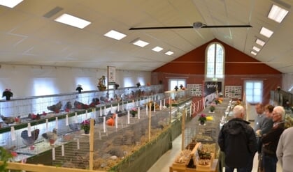 Afbeelding