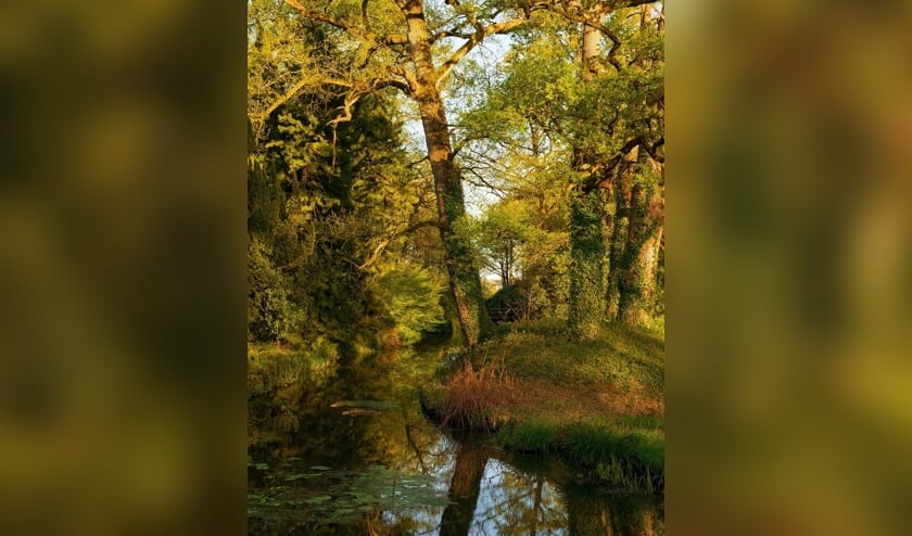 De Wiersse in herfstkleuren. Foto:PR