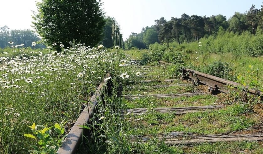 De Borkense Baan. Foto: PR KNNV
