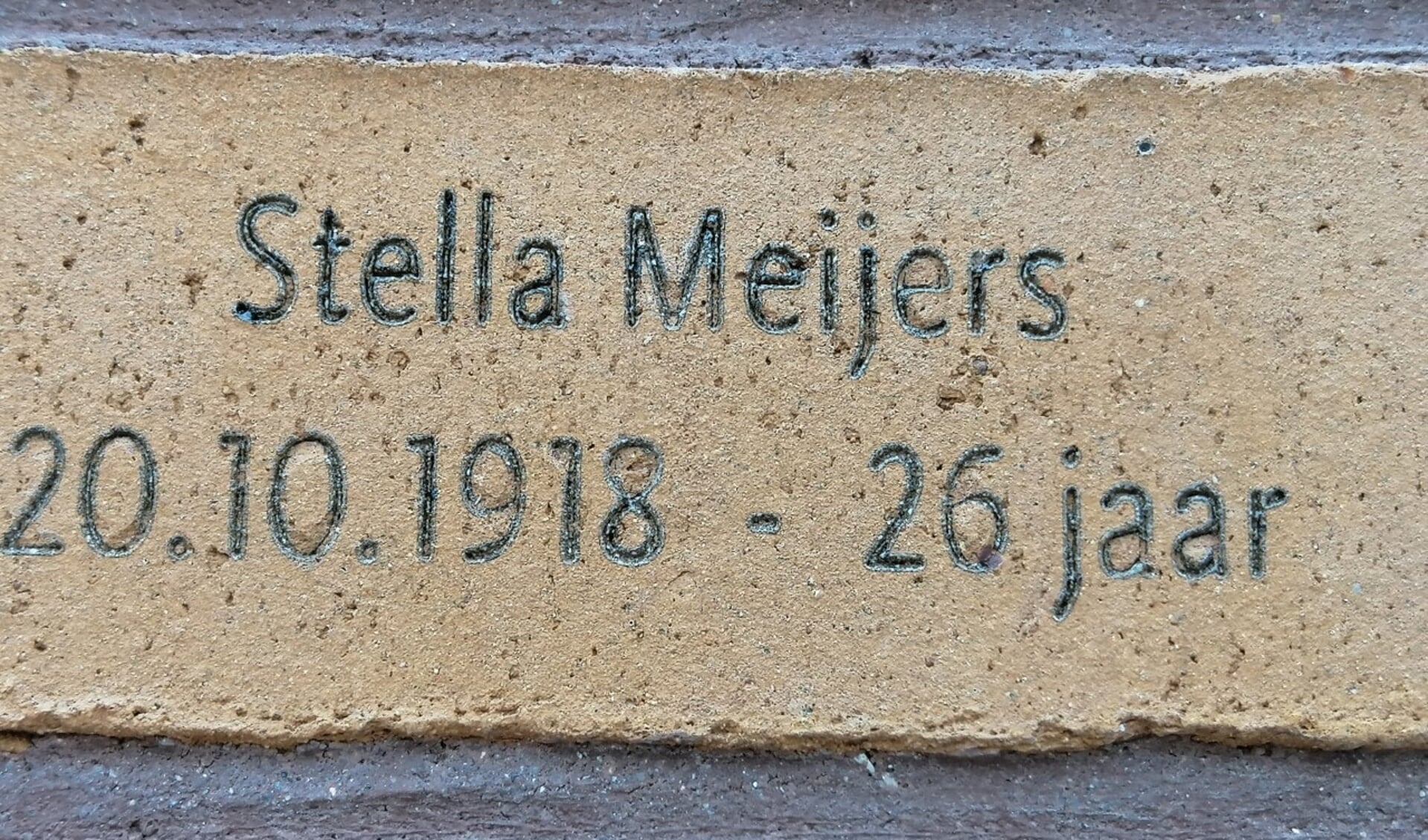 Stella hield zich schuil in het Korenburgerveen. Foto: F. de Raat