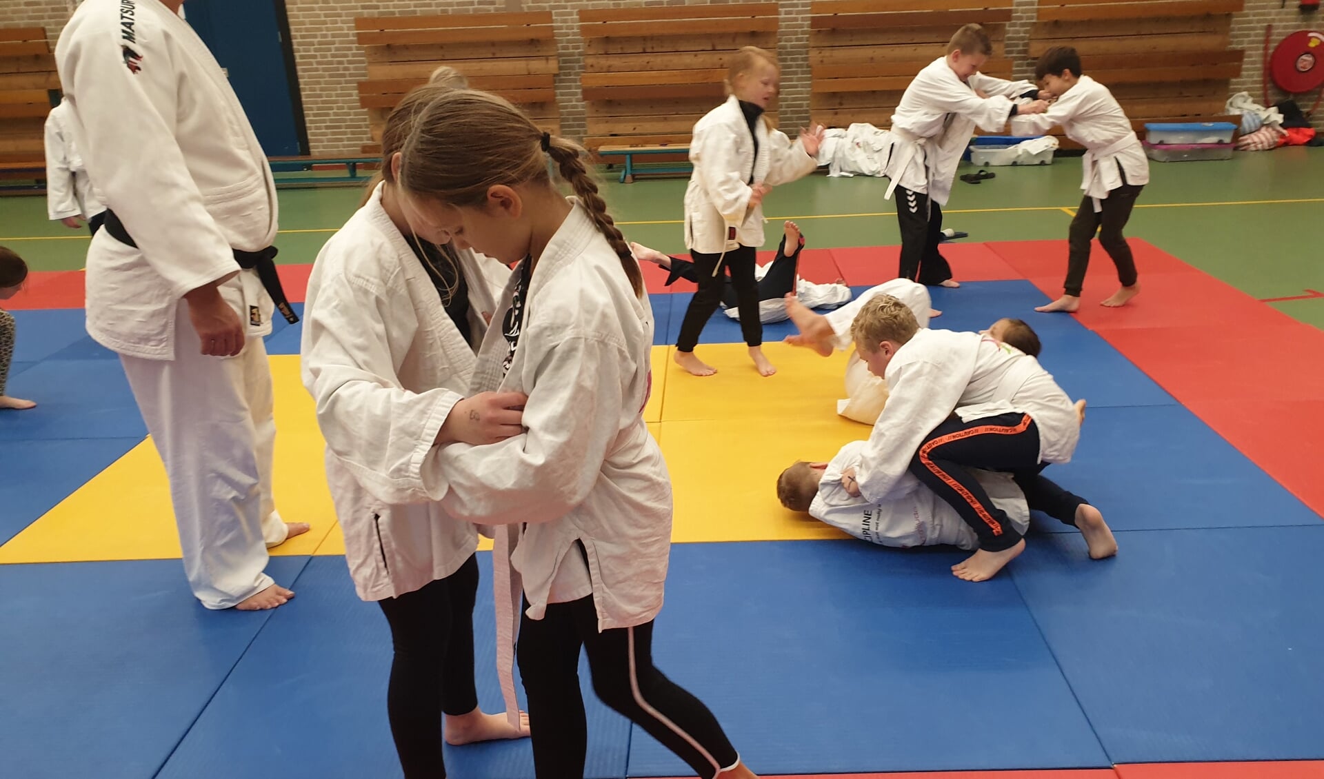 Kennismaken met judo via Sportintro in Neede. Foto: PR