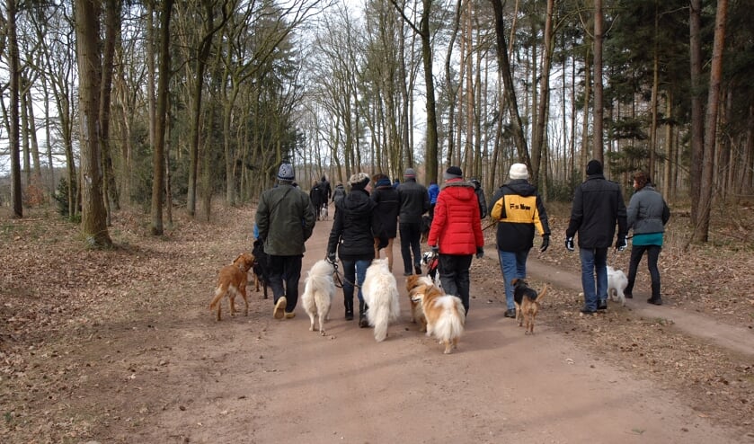 <p>Er op uit met de hond(en). Foto: Ronny Elsschot</p>