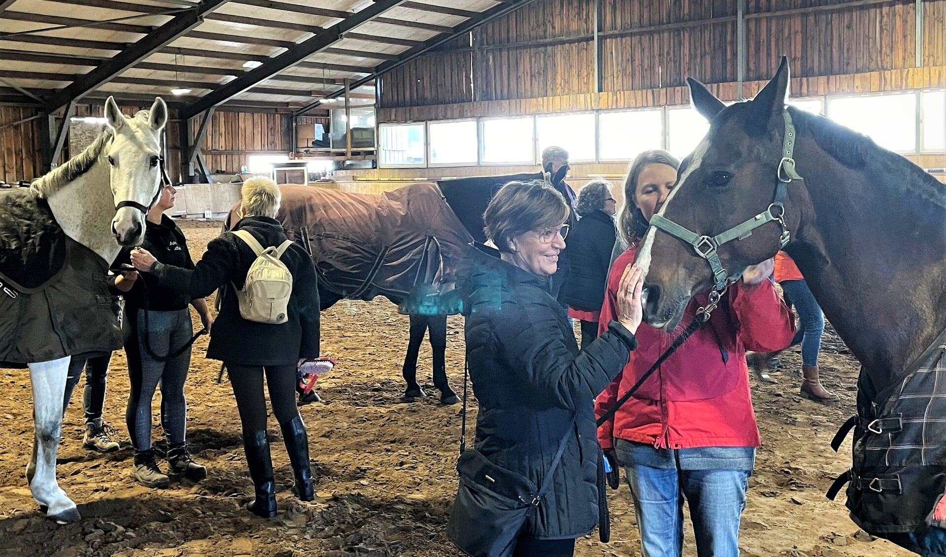 Vrijwilligers en mantelzorgers maken kennis met de paarden van manege De Meiden van Haarman. Foto: Henri Bruntink