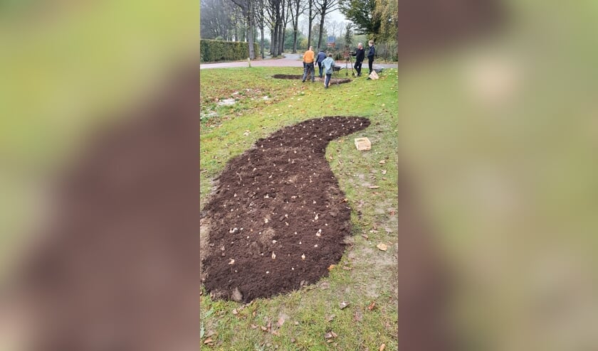 <p>Drie stukken gras zijn vrijgemaakt voor het planten van de bloembollen. Foto: PR</p>