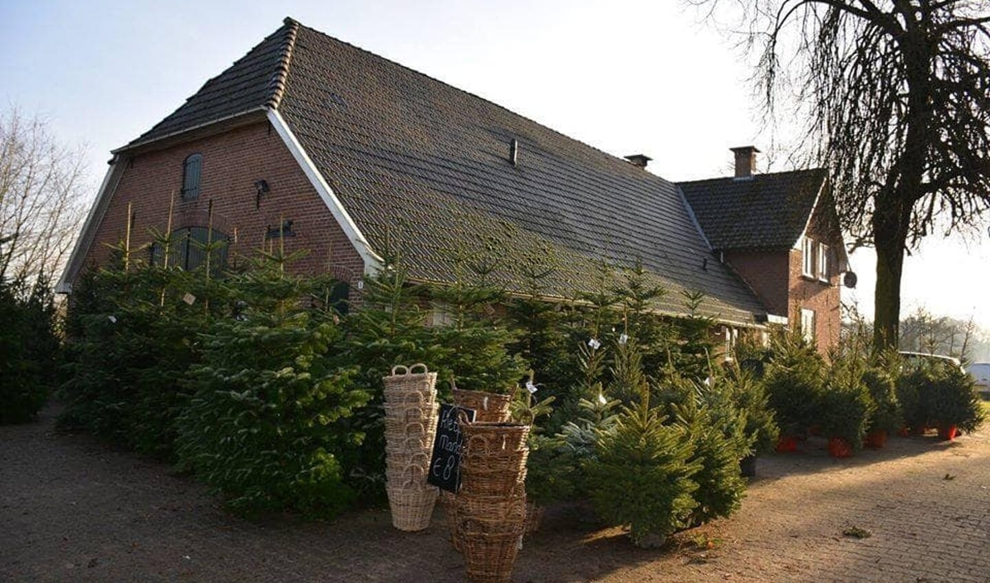 Boerderij 't Geutjen zijn kerstbomen te koop. Foto: Geutjen.nl