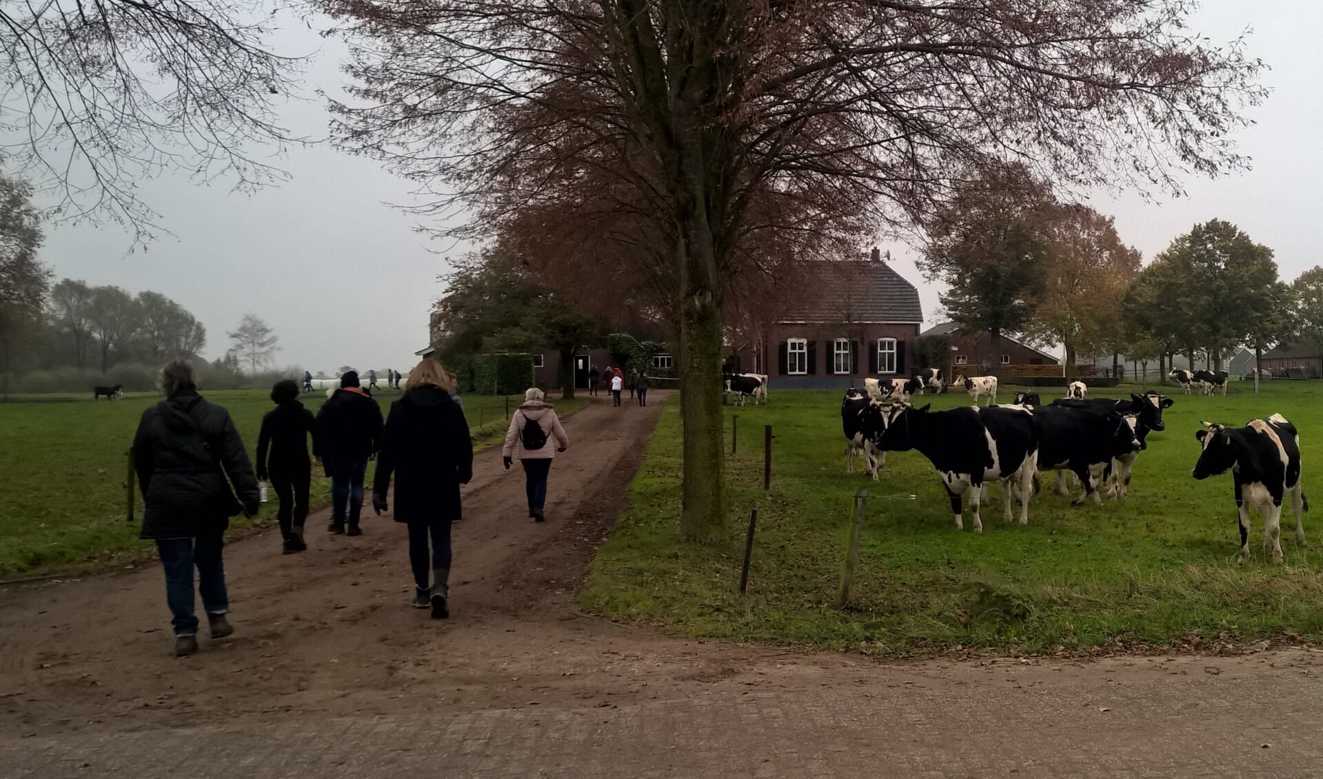 Succesvolle Gengeltocht rond Vragender. Foto: PR