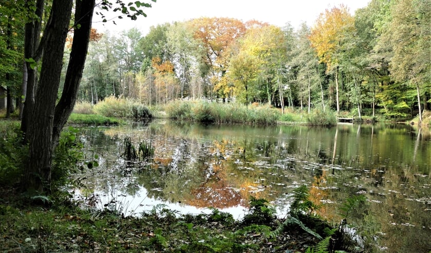 Foto: Natuurvereniging KNNV Oost-Achterhoek