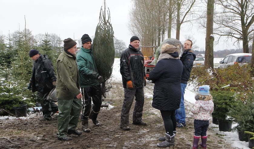 <p>De eigen kwekerij voor kerstbomen. Foto: ZZC '20</p>