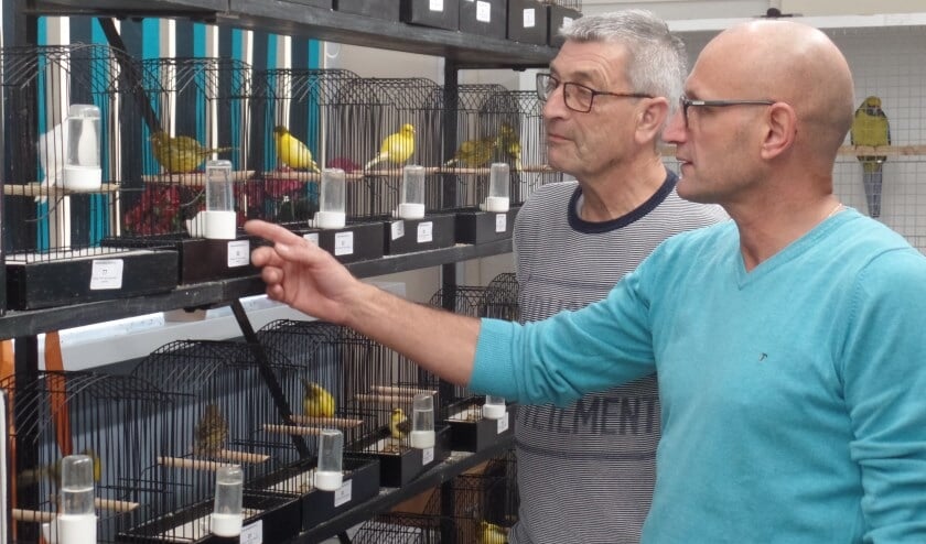 <p>Penningmeester Henk Haakmeester (l) en voorzitter Hein Blikman van Vogelvereniging Ruurlo en Omstreken bij de clubtentoonstelling in 2018 toen de vereniging voor de tentoonstelling al een samenwerkingsverband met De Vogelvriend uit Vorden was aangegaan. Archieffoto: Jan Hendriksen </p>