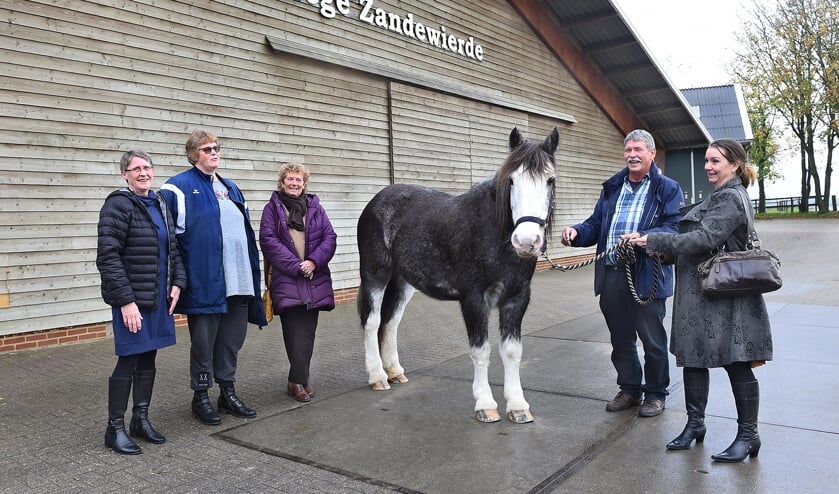<p>Vlnr: Ineke Aalbers, Sylvia Bosch, Isabel Banner (locatie Litania Doesburg), paard Silke, Bennie Vonk (voorzitter Manege Zandewierde) en Petra Blom (bestuurslid Litania Hengelo) Foto: Roel Kleinpenning</p>