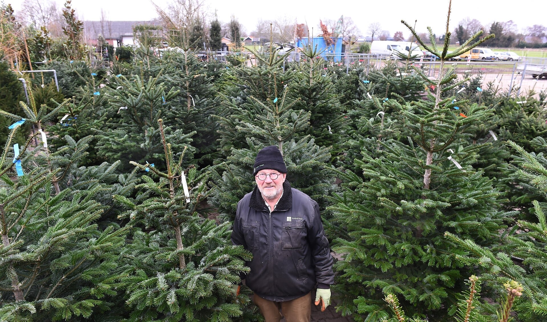 Gerard Timmermans helpt altijd met de kerstbomenverkoop bij Groeiend Groen in Kilder.