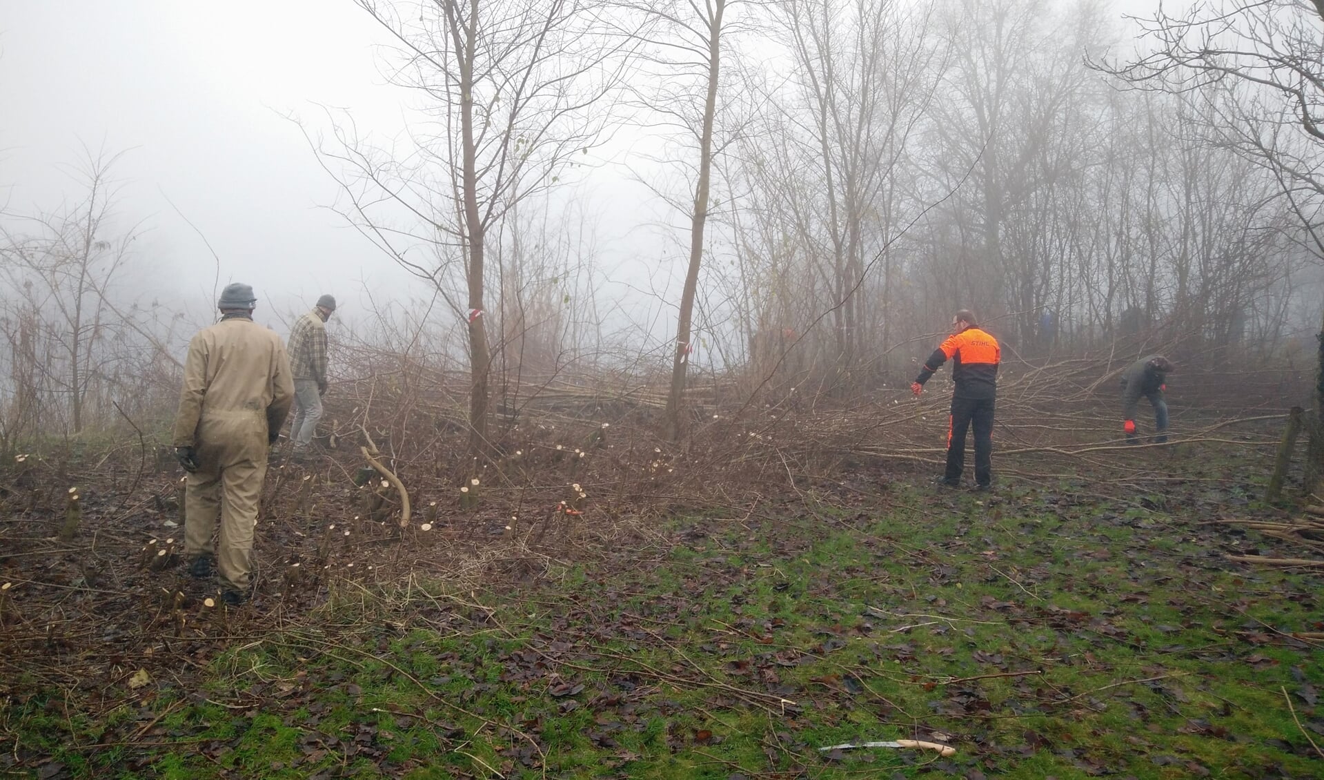In de mist aan het werk in de boomgaard van Massink. Foto: Frank van Heijst
