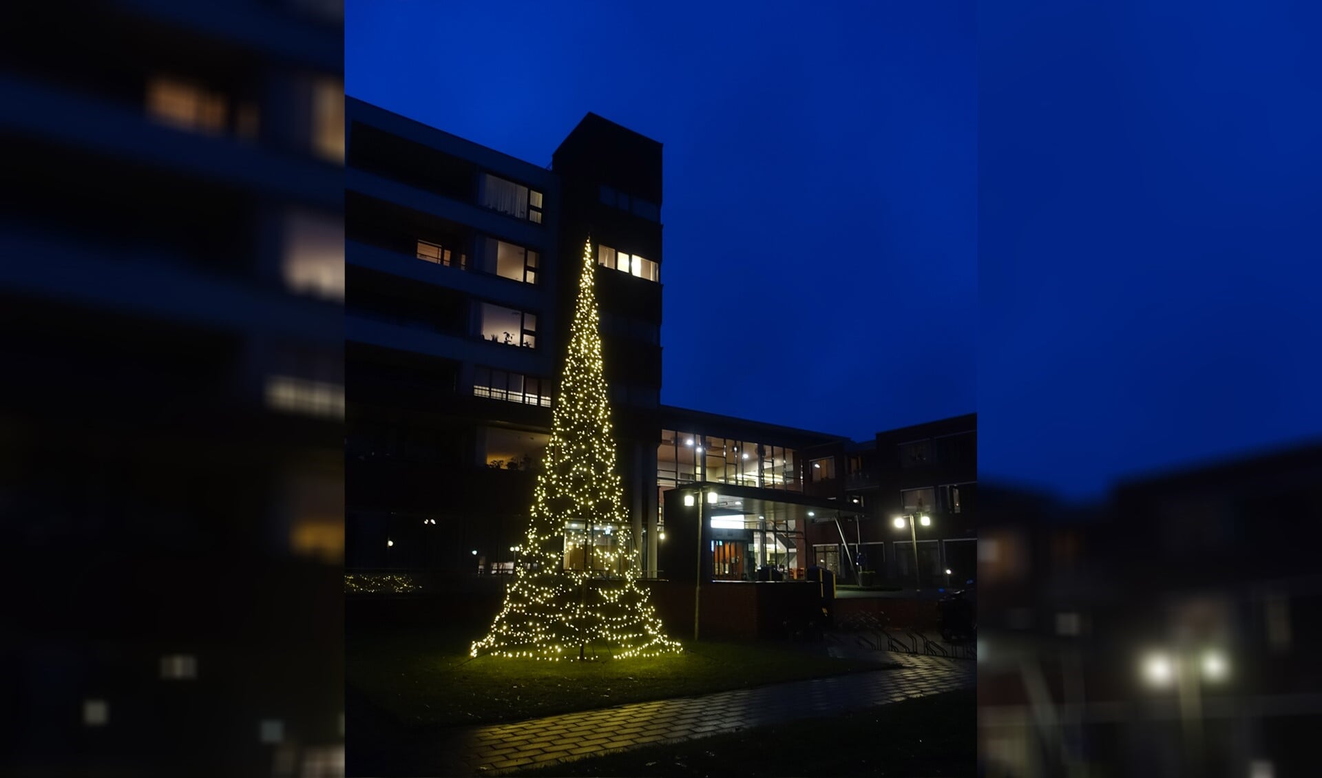 Kerstboom bij Oldershove. Foto: PR