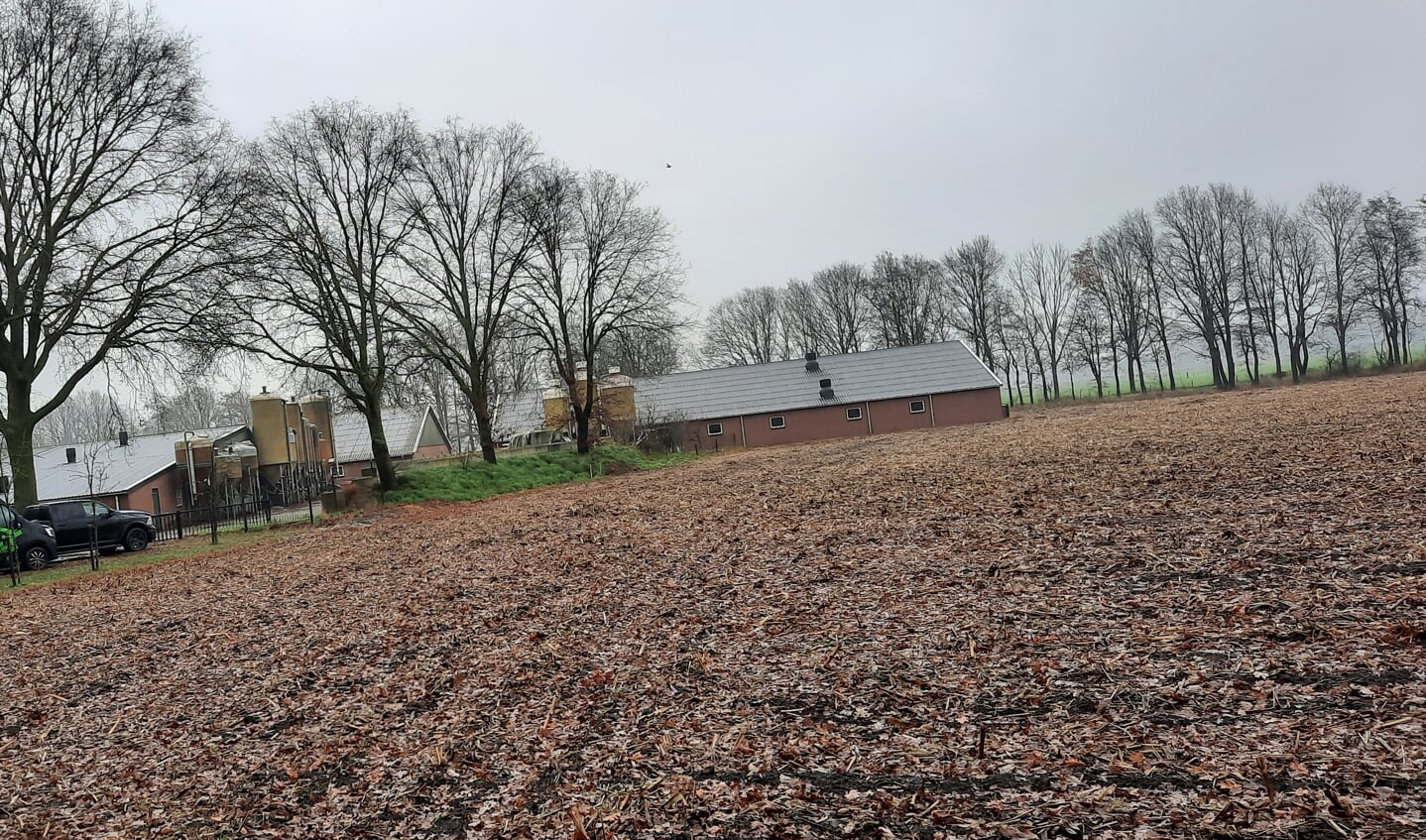 Het varkensbedrijf aan de Wolterij in Harreveld krijgt een vergunning voor 4.384 vleesvarkens. Foto: Kyra Broshuis