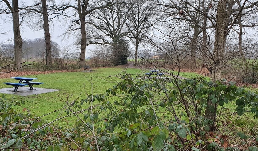 <p>De omstreden locatie voor de antennemast in Haarlo. Foto: Rob Weeber</p>