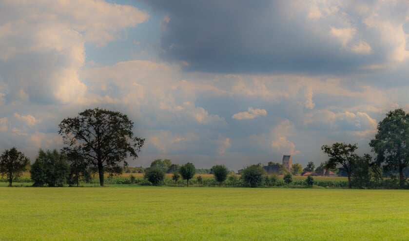 De Geesterse Es. Foto: Ton Trel