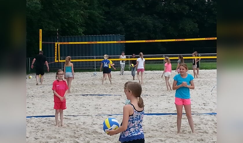 De vereniging hoopt dat dit ook het beeld zal zijn komende zomer. Foto: PR