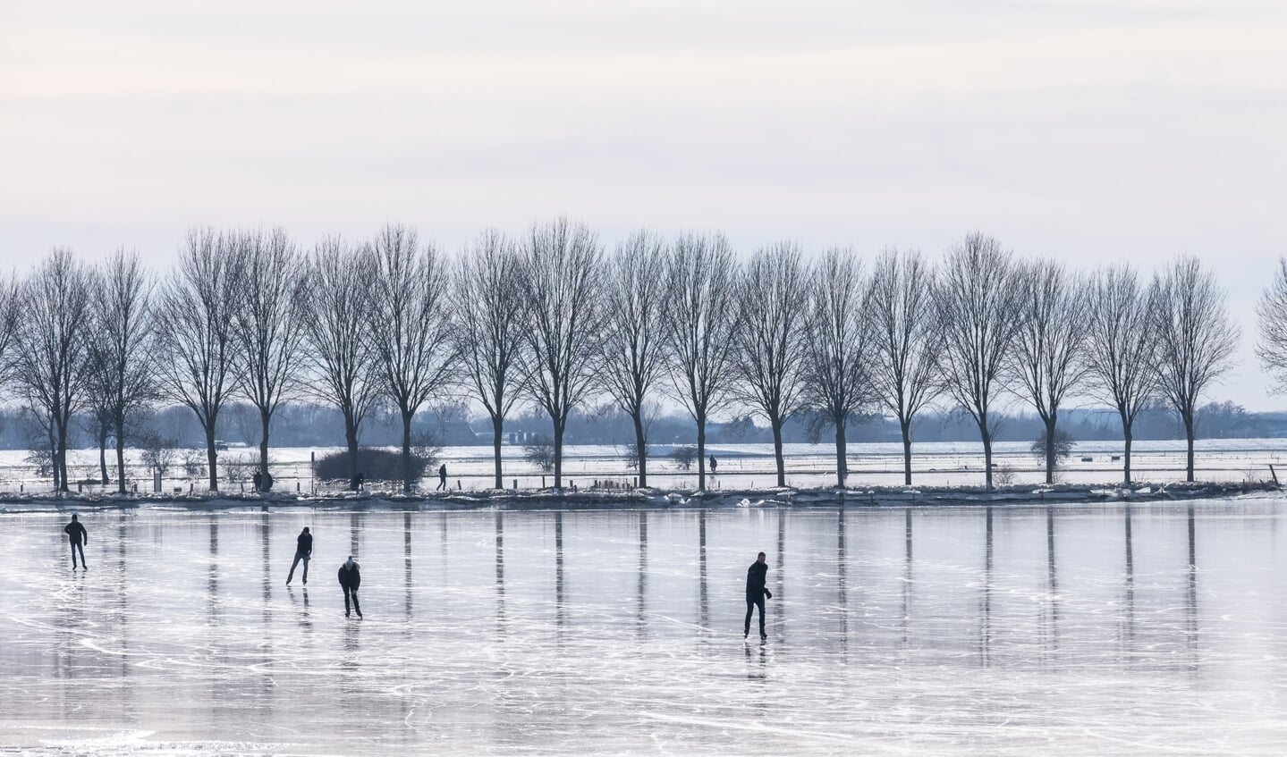 Een aantal schaatsers op de bevroren uiterwaarden van de IJssel bij Bronkhorst. Foto: Burry van den Brink
