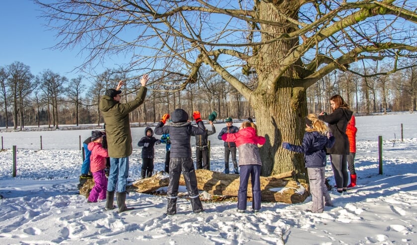 De welpen troffen kou maar zon en openen in de sneeuw rondom de grote boom. Foto: Liesbeth Spaansen