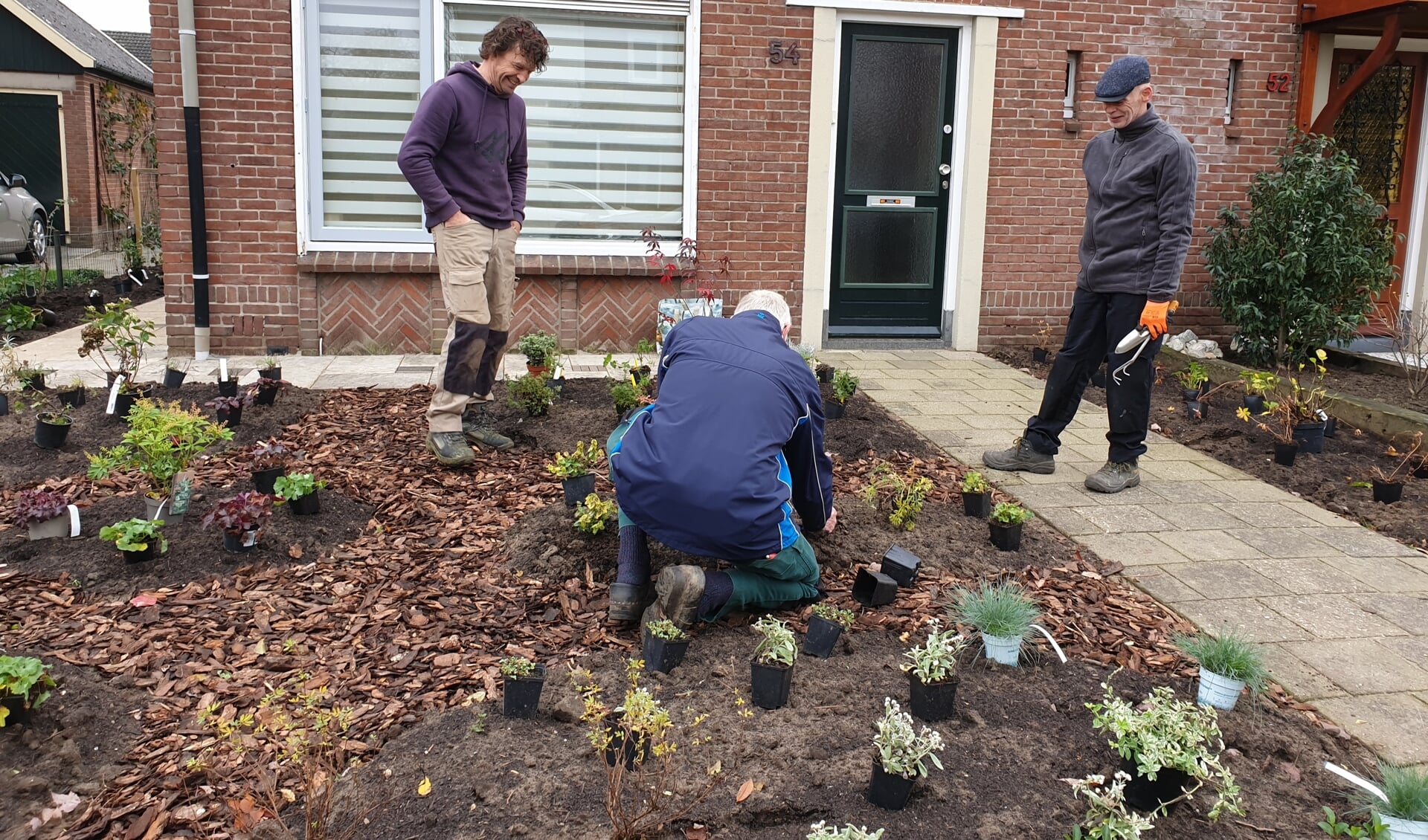 Vrijwilligers knappen een tuin op met verschillende planten om insecten aan te trekken en water vast te houden.