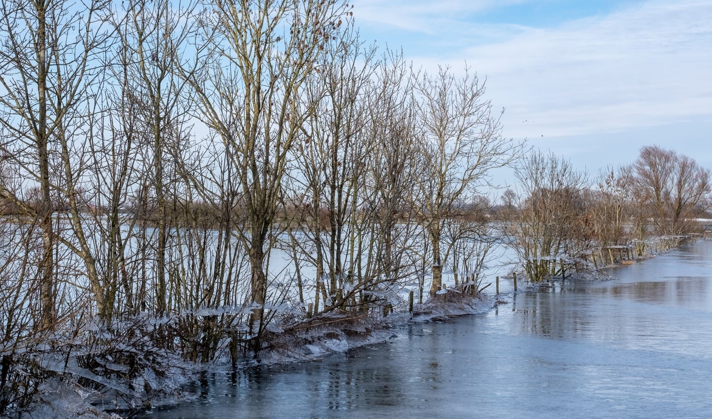 Langs de bevroren uiterwaarden van de IJssel bij Bronkhorst, was het water al gezakt, zodoende hingen er ijsschotsen in de bomen. Foto: Burry van den Brink
