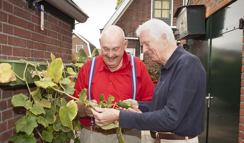 Een maatje om samen dingen te ondernemen. Foto: PR