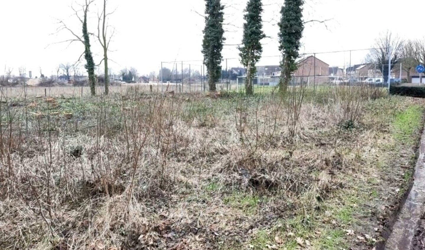 Per abuis werd op Het Blik in Groenlo een speelbosje gekapt. Foto: archief Achterhoek Nieuws