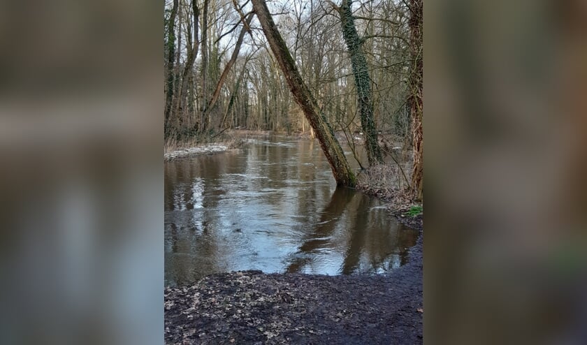 Hoog water in de Bekendelle. Foto: Nienke van Druten