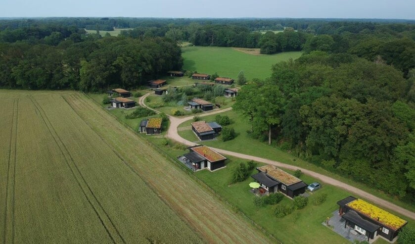 <p>Aangrenzend aan Landgoed Hackfort staan op ruime kavels de 25 zwarte houten vakantiehuizen Foto: PR </p>