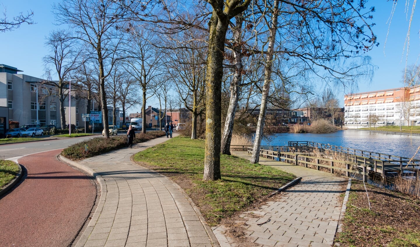 De aanpassingen moeten leiden tot een aantrekkelijker, groene looproute naar het centrum. Foto: Henk Derksen