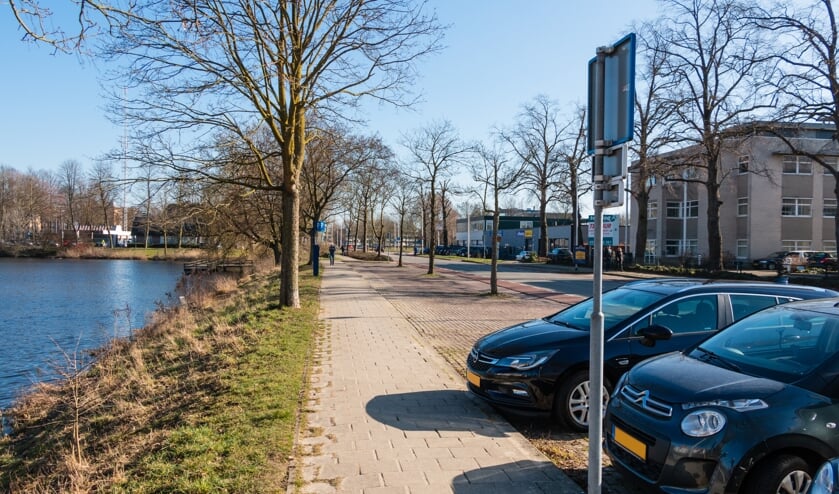 <p>Om plaats te maken voor meer groen moeten 26 parkeerplekken worden verwijderd. Foto: Henk Derksen</p>