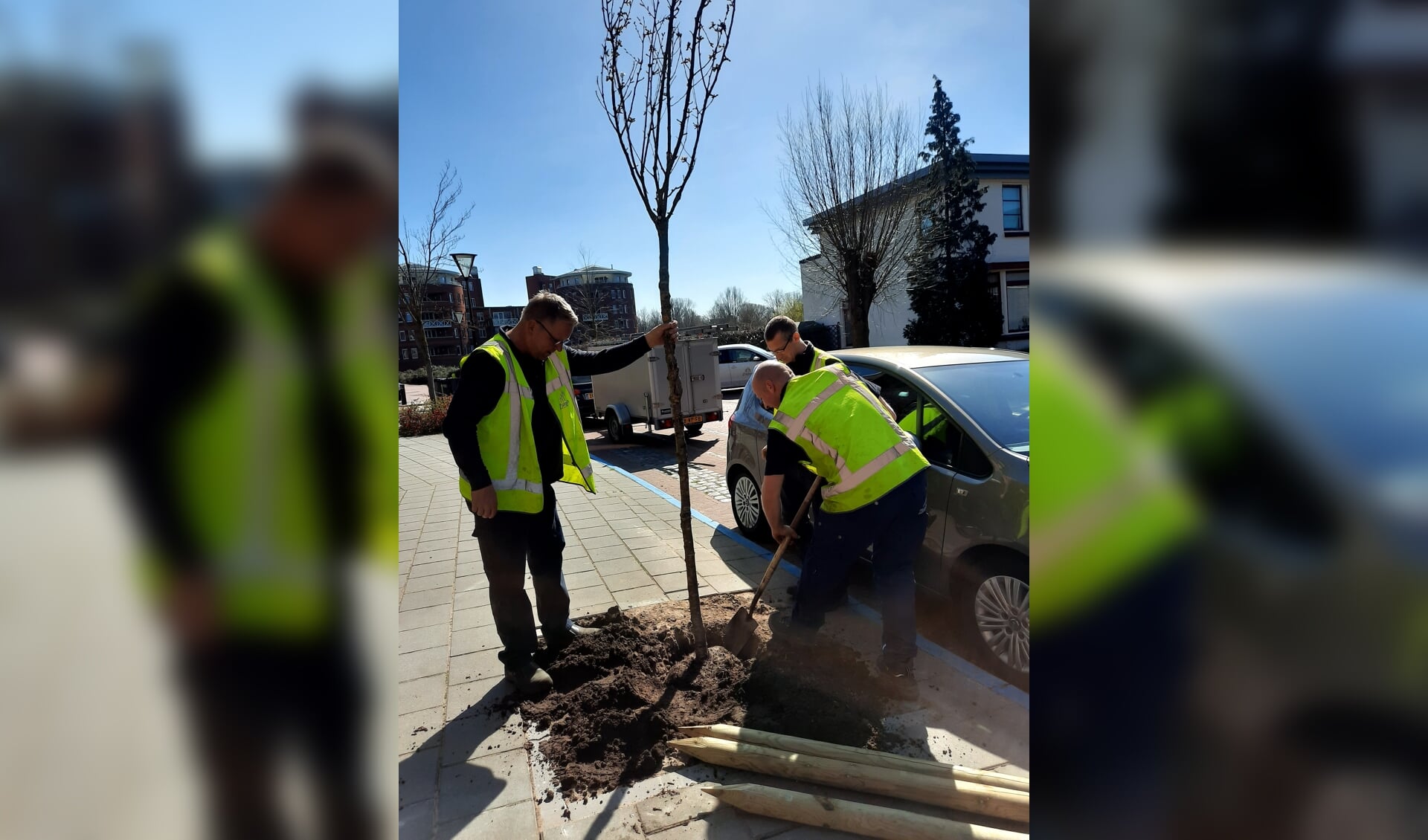 Medewerkers van de gemeente Zutphen planten de eerste boom op het Hoornwerk in Zutphen. Foto: PR