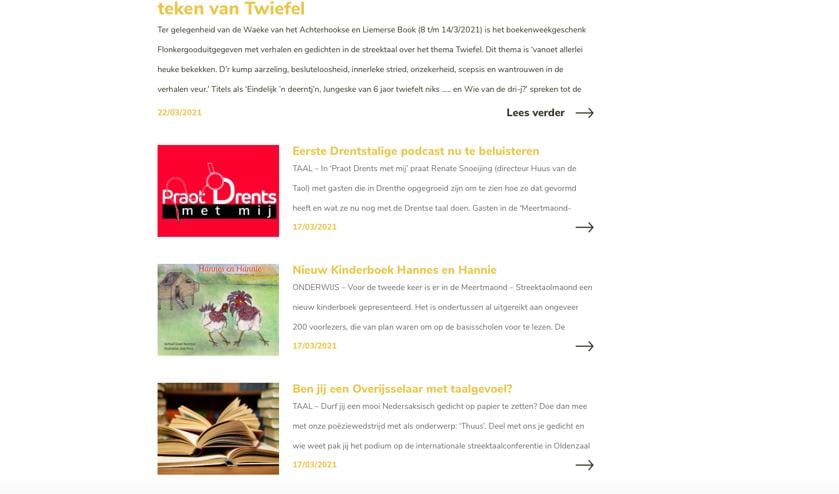 <p>Een beeld van de website www.nedersaksisch.com.</p>