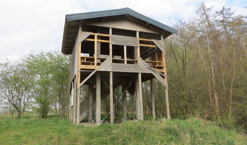 Aan de voorkant van de uitkijktoren zijn diverse planken verwijderd. Foto: Bernhard Harfsterkamp