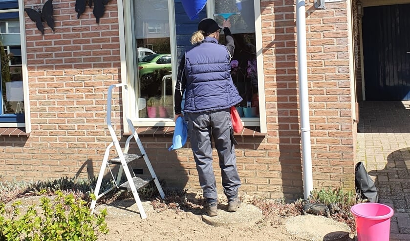 <p>Een vos of toch niet? Foto: KOS</p>