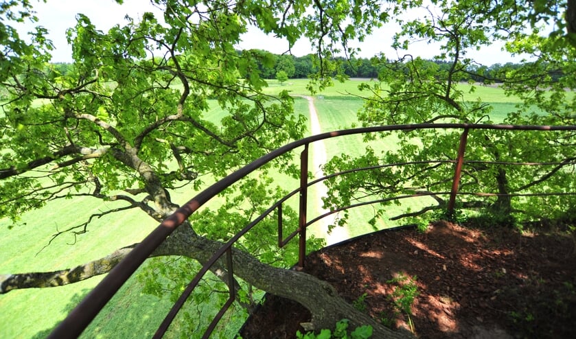 De boomtuin in betere tijden. Foto: PR