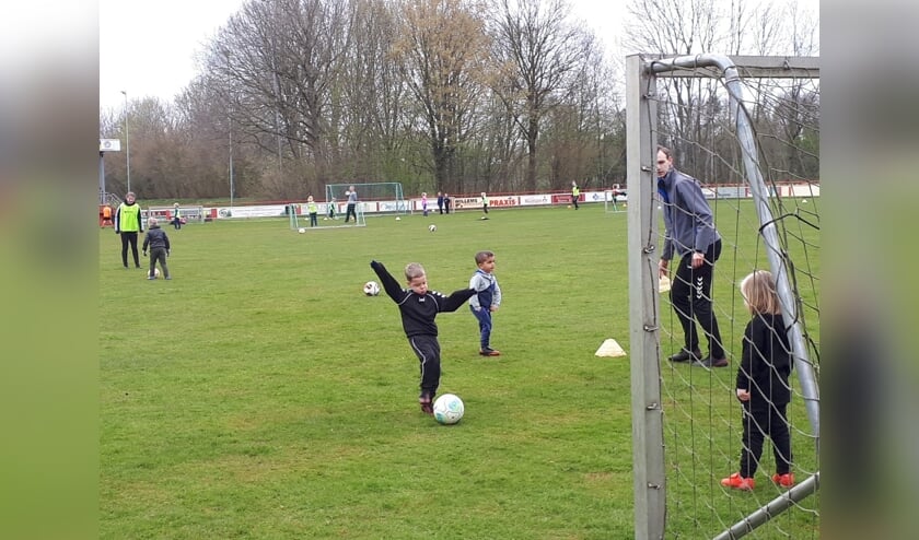 <p>Heel veel minipups kwamen naar de training. Foto: PR</p>